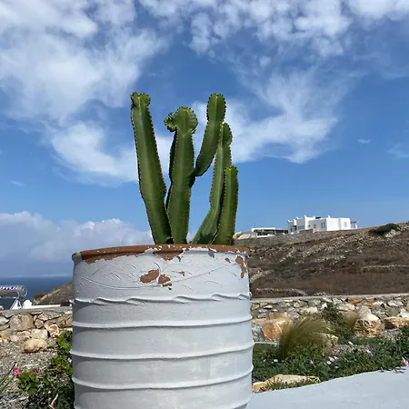 Βίλα Petrinaki *