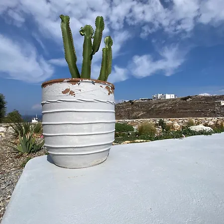 Petrinaki * Mykonos Town